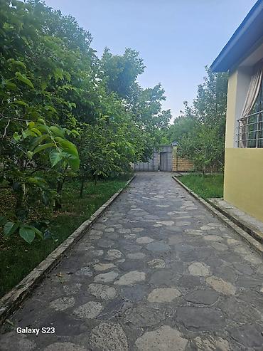 ceyranbatanda kiraye evler 2024: 1200 kv. m, 5 otaqlı, Su, İşıq, Kanalizasiya — 3