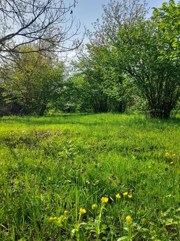 Torpaq sahələrinin satışı: 30 sot, Kənd təsərrüfatı, Mülkiyyətçi, Kupça (Çıxarış) -da lalafo.az — 5 Torpaq sahələrinin satışı: 30 sot, Kənd təsərrüfatı, Mülkiyyətçi, Kupça (Çıxarış) — 5