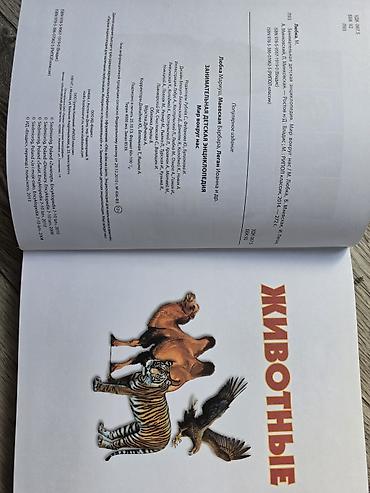 Занимательная детская энциклопедия «Мир вокруг нас». Большая — 2