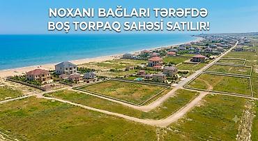 şirvanda satilan torpaqlar: 12 sot, Mülkiyyətçi, Kupça (Çıxarış) — 1