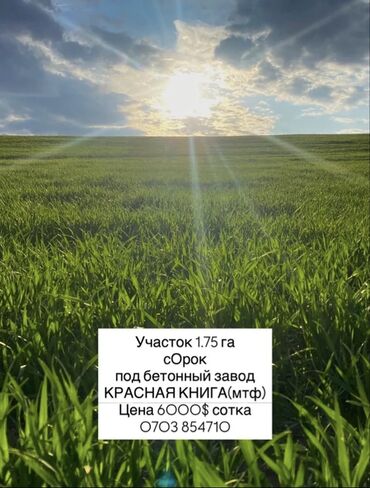 продажа земли сельскохозяйственного назначения: 175 соток, Курулуш, Кызыл китеп