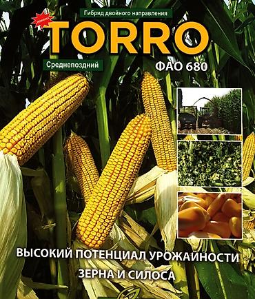 стол трансформер акробат: Кукуруза TORRO (ФАО 680) — среднеспелый гибрид двойного направления — 1