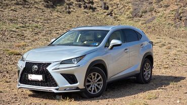 2107 продажа: Lexus NX: 2018 г., 2 л, Автомат, Бензин, Кроссовер