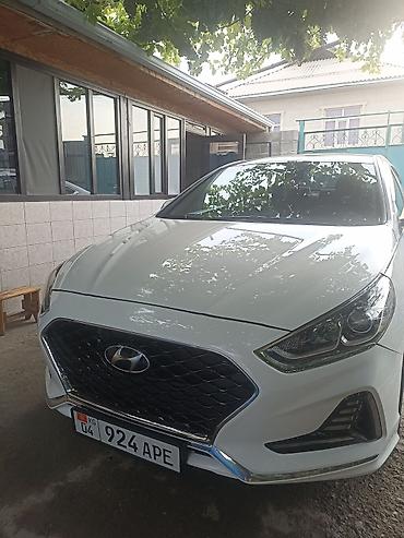 краски на авто: Hyundai Sonata: 2019 г., Седан — 10
