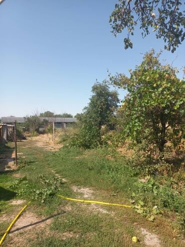 Продажа домов: Дом, 45 м², 4 комнаты, Собственник, Старый ремонт — 6