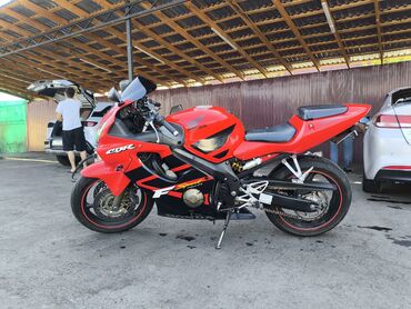 бак на мотоцикл: Спортбайк Honda, 600 куб. см, Бензин, Взрослый, Б/у