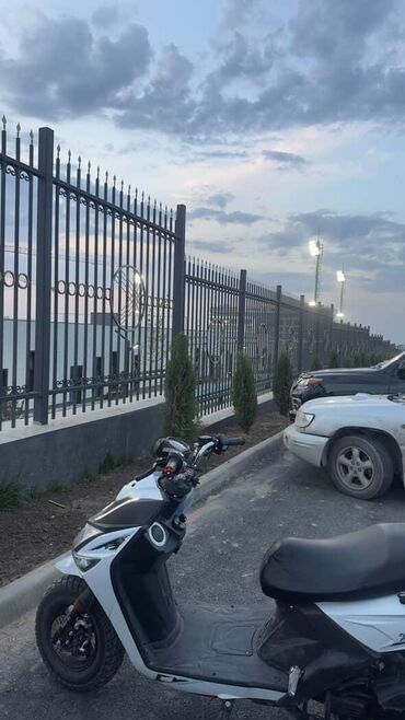 Мототранспорт: Сдаю в аренду: Мопед