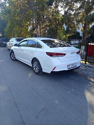 Транспорт: Hyundai Sonata: 2019 г., 0.2 л, Автомат, Газ, Седан — 4