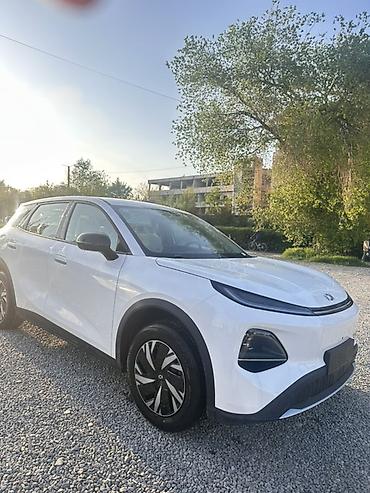 model y: Электромобиль (кроссовер), серебристый металлик. Кузов и дизайн: - — 6