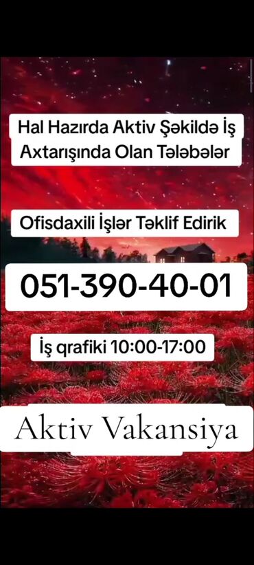 gənclikdə iş elanları: Маркетолог требуется, Полный рабочий день, Любой возраст, Без опыта