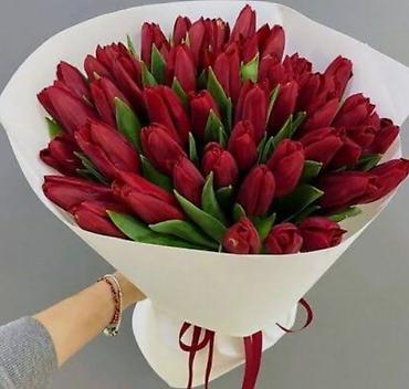 Букеты из живых цветов: Тюльпаны срезанные в наличии в ограниченном количестве -В продаже есть — 2