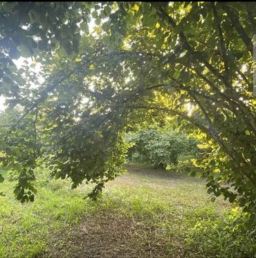 tap.az xacmaz xudat quba qusar masin: 🪂⛰️OĞUZ RAYONU🏞️ 🌳 XAÇMAZ KƏNDİ🌲MASİNLA BARTER VAR. TURİZİM ƏRAZİSİ