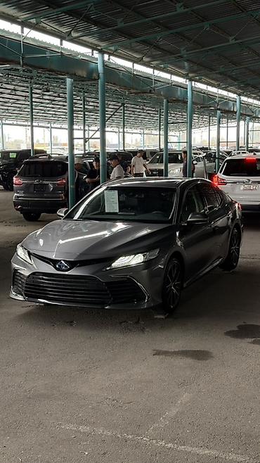 camry 55 exclusive: Toyota Camry: 2023 г., 2.5 л, Автомат, Гибрид, Седан — 4