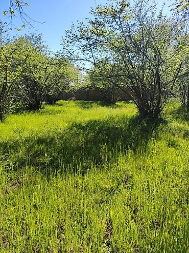 Torpaq sahələrinin satışı: 20 sot, Tikinti, Mülkiyyətçi, Kupça (Çıxarış) — 15