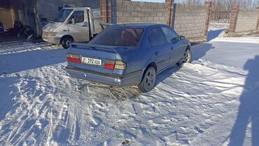 авто с прицепом: Nissan Primera: 1995 г., 1.6 л, Механика, Бензин, Седан