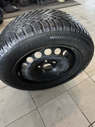 Gume i felne: Zimska guma na čeličnoj felni – Continental WinterContact TS 850 - — 7