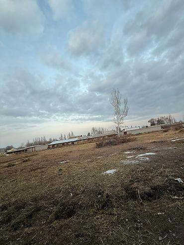 купить бункер: Продается жилой дом с приусадебным участком и хозпостройками. Район — 3