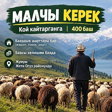 ишим работа: Требуется Скотник, Оплата: Ежемесячно — 1