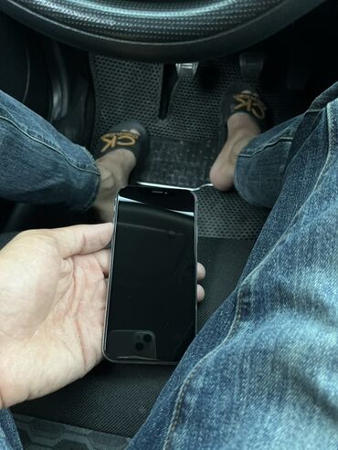 Saab: IPhone X, Серебристый, Face ID