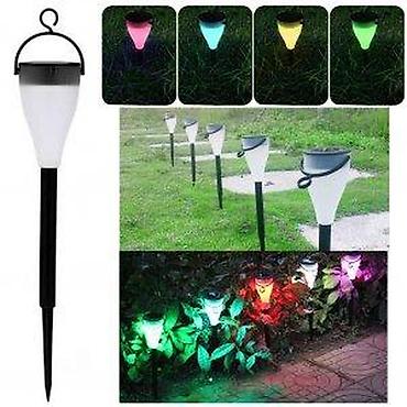 sadnice jagode: SOLARNE LAMPE U BOJI NOVE BASTENSKE LAMPE 6 KOM. AKCIJA | Cene nisu — 7