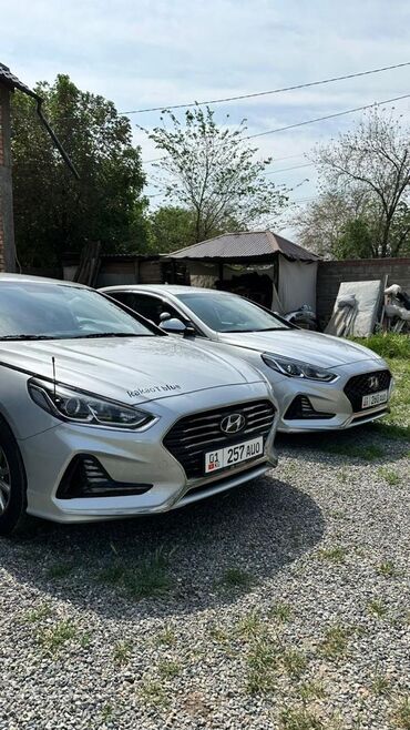 авто под выкуп в рассрочку: Ижарага берем Hyundai Sonata такси үчүн, Узак мөөнөткө, | Күрөө, Алдын ала төлөө, Айдоочулук күбөлүгүк