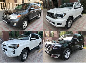 переводчик китайский на кыргызский фото: Все наши автомобили, условия и цены на сайте: www.autopark.kg