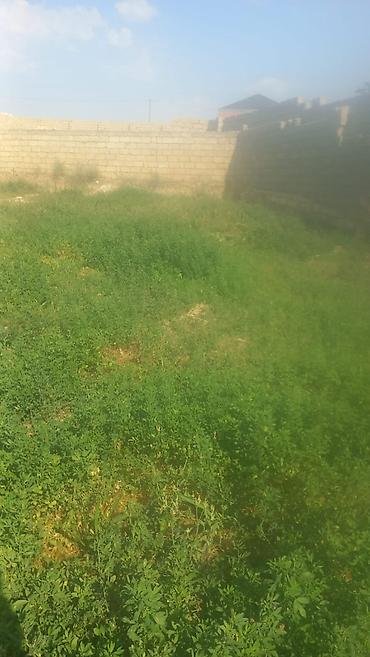 4 sot, Tikinti, Mülkiyyətçi, Kupça (Çıxarış) lalafo.az -da 4 sot, Tikinti, Mülkiyyətçi, Kupça (Çıxarış)