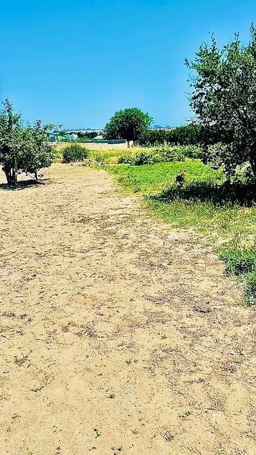 nardaranda torpaq: 12 sot, Tikinti, Kupça (Çıxarış) — 5