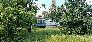 Bağ evlərinin satışı: Göyçay, 100 kv. m, 2 otaqlı, Hovuzsuz — 13