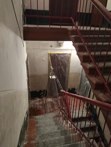 Другие малярные работы: Больше 6 лет опыта — 7