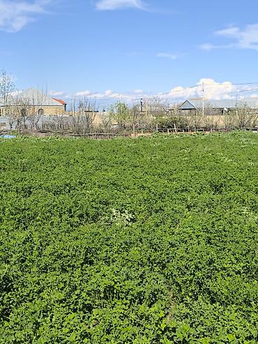 Torpaq sahələrinin satışı: Tikinti — 4