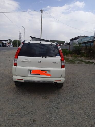 мотоцикл крузер: Honda CR-V: 2005 г., 2.4 л, Бензин, Кроссовер