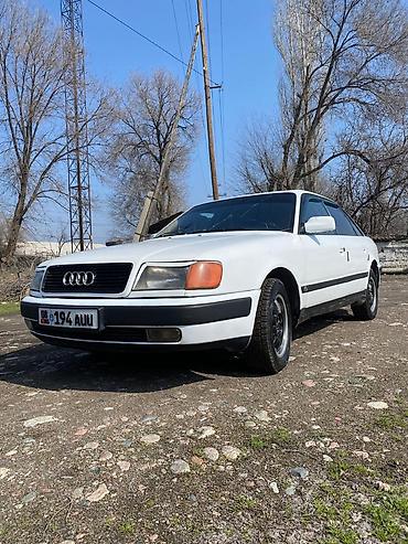 Audi: Audi 100: 1993 г., Седан — 1