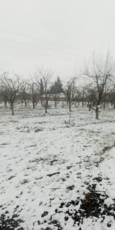 buzovnada torpaq satisi: 150 sot, Kənd təsərrüfatı, Mülkiyyətçi, Kupça (Çıxarış)