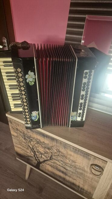 Pianolar: Akustik Akkordeon