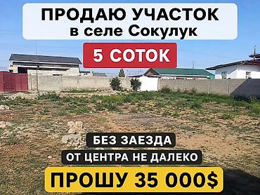 archa group: 5 соток — 1