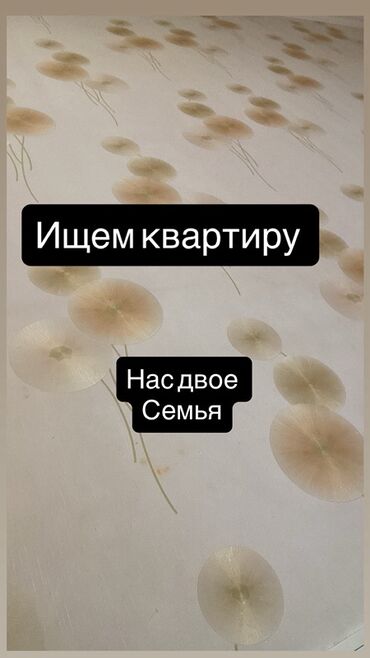 2 комнатный квартира в бишкеке: Услуга: поиск квартиры для семьи из двух человек. Описание: - Ищем