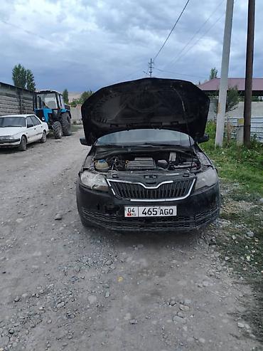 гранат соната: Skoda Rapid: 2016 г., 1.6 л, Автомат, Бензин, Лифтбек — 1