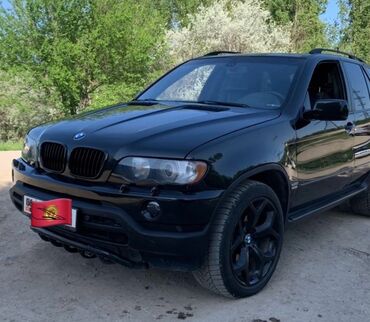 руль на х5: BMW X5: 2002 г., 4.6 л, Типтроник, Бензин, Внедорожник