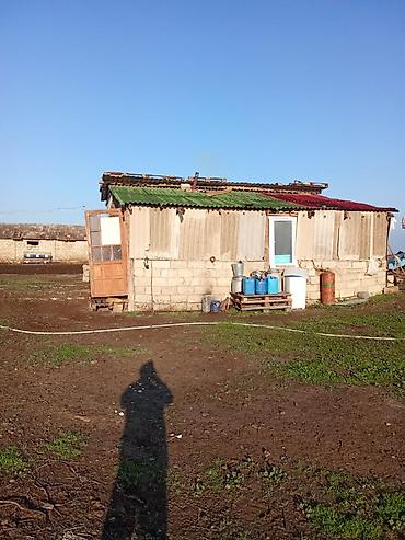 Konteynerlər: Vaqon,konteyner Təcili 3 ədəd konteyner satılır 11x3 6x3 7×5,2 -da lalafo.az — 14 Konteynerlər: Vaqon,konteyner Təcili 3 ədəd konteyner satılır 11x3 6x3 7×5,2 — 14