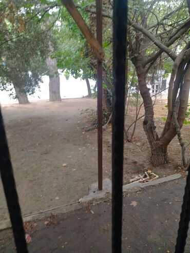 Sərnişin daşımaları: Şəhərdaxili və şəhərlərarası sərnişin daşınması xidməti - Komfortlu — 9