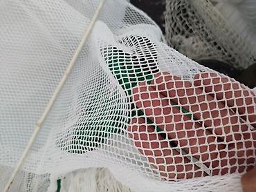 Другое для спорта и отдыха: ЗУС сетка, защитная сетка, сетка для футбольных полей, `.полиамидная — 20