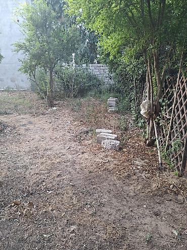 qismetin yeri: 3 sot, Tikinti, Kupça (Çıxarış) — 2