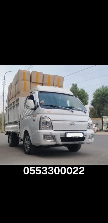 приюты для кошек бишкек: Портер такси портер такси портер вывоз мусор вывоз мусор вывоз мусор