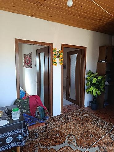 ev alqi: Binə 3 otaqlı, 50 kv. m, Kredit yoxdur, Orta təmir — 1