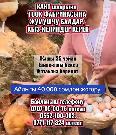 скотник работа: Требуется сотрудник, Полный рабочий день, Оплата Сдельная