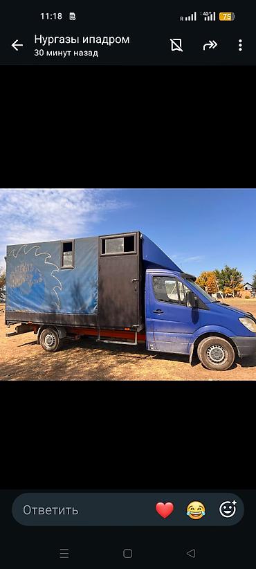 алмашаи: Mercedes-Benz Спринтер: 2006 г., 2.2 л, Механика, Дизель, Фургон — 3