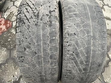 балон кышкы: Шиналар 205 / 55 / R 16, Кыш, Колдонулган, Жуп, Жеңил унаалар, Continental — 3