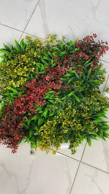 Напольные покрытия: 🌿 Dekorlar məkanınıza gözəllik qatır! 🏠 Təbii görünüşlü, zövqlə — 9