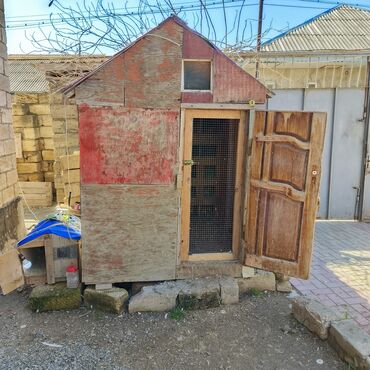 Yuvalar: Salam Aleykum Quşxana satılır istəyən olsa əlaqə saxlasın .hündürlük — 2